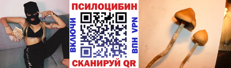 Галлюциногенные грибы ЛСД  Питкяранта 