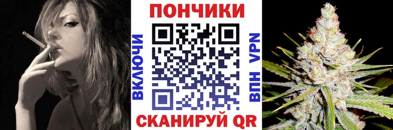 Конопля гибрид  купить наркотик  Питкяранта 